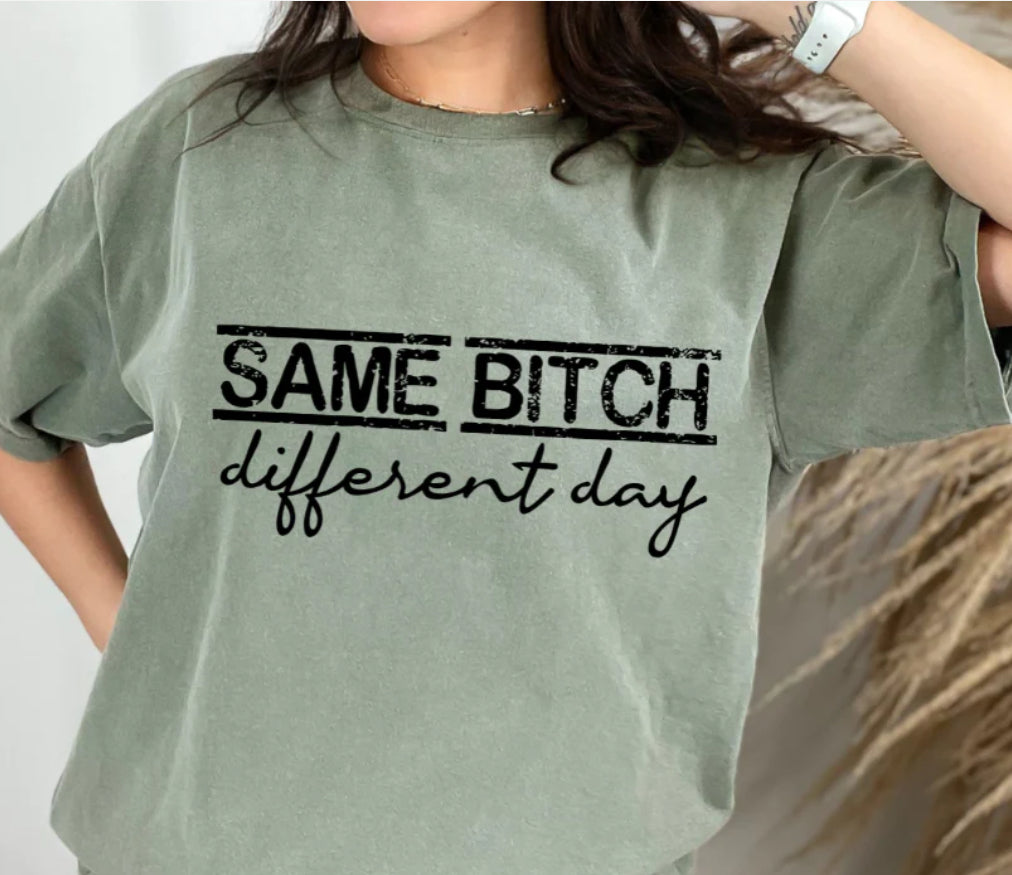 Same Bih Different Day Single Color Screen Print (Adults)