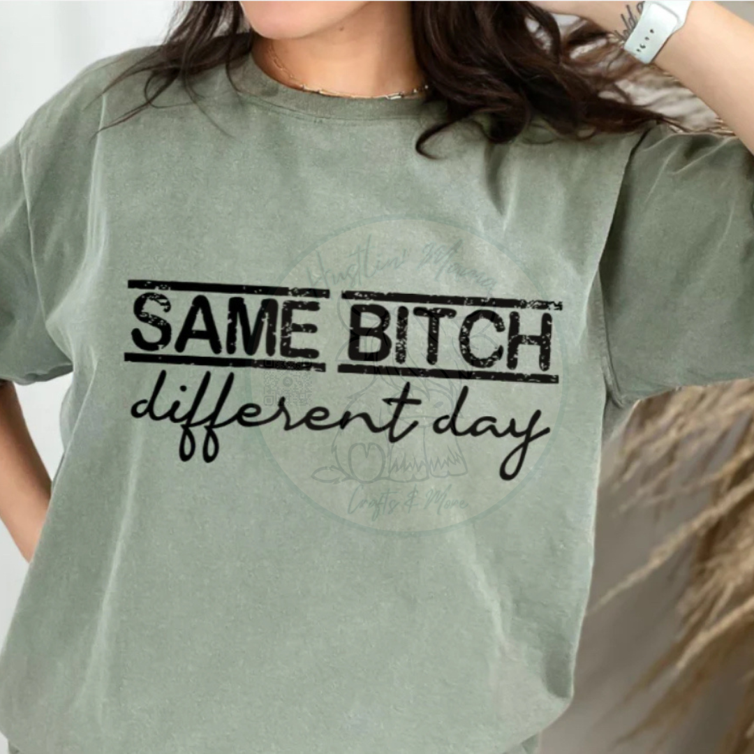 Same Bih Different Day Single Color Screen Print (Adults)